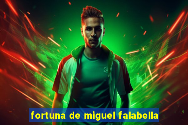 fortuna de miguel falabella