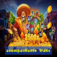 acompanhante trans de santos