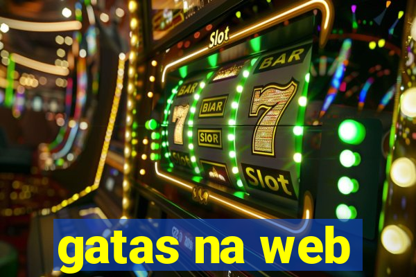 gatas na web