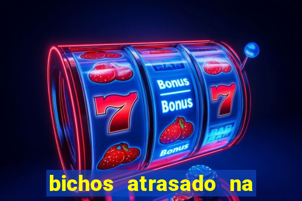 bichos atrasado na loteria dos sonhos